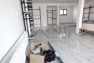 Spatiu comercial Lunca Cetatuii - langa Centura - 25
