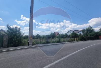 Teren intravilan 11.500 mp - Strada Cismari Valenii de Munte - 6