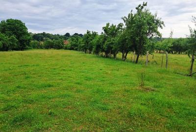 Teren Construcții intravilan de 2560 mp, în Novaci - 3
