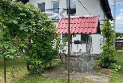 Casa cu mansarda+casa batraneasca in Trifesti Jud. Neamt - 10