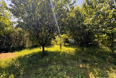 Casa-Simeria - 6
