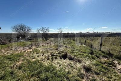 Casă cu 3 camere cu Teren 1008 Mp în Bucovăț - 4