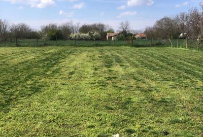 Casă cu 3 camere în Peregu Mic - 3