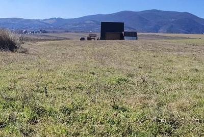 Teren de 1630 mp, în Luizi-Călugăra - 9