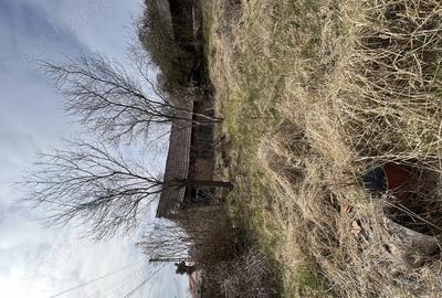 Casă cu 2 camere cu Teren 762 Mp în Blandiana - 8