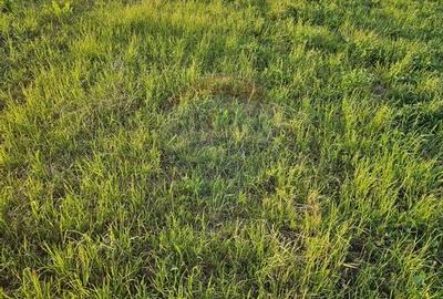 Teren Construcții intravilan de 1495 mp, în Dobreni - 33