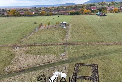 Teren de 2200 mp, în Orlat