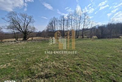 Teren de 1600 mp, în Tohănița