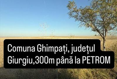 Teren de 3000 mp, în Ghimpați - 2