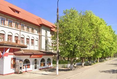 Teren Construcții intravilan de 33000 mp, în Bârlad