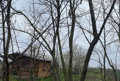 Teren de 5000 mp, în Lazuri - 2
