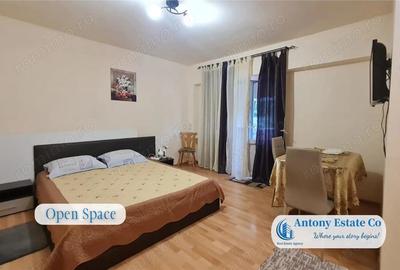 Apartament de inchiriat, 1 camera, Baile Felix, Oradea - 2