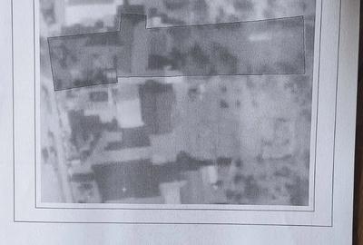 Casă cu Teren 1391 Mp în Putna - 3