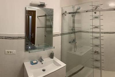 Garsonieră decomandată, mobilată în Octavian Goga - 9