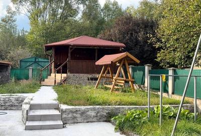 Casă cu 3 camere în Zmeurătu - 1