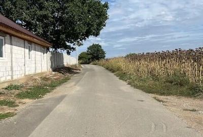 Terenuri pentru constructie rezidentiala Moara Vlasiei, 10 min de Bucuresti Terenuri pentru constructie rezidentiala Moara Vlasiei, 10 min de Bucuresti - 3