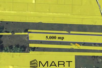 Teren de 5000 mp, în Avrig - 5