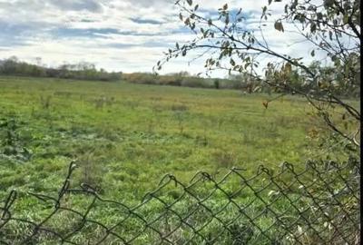 Teren la intrare Alparea - 1