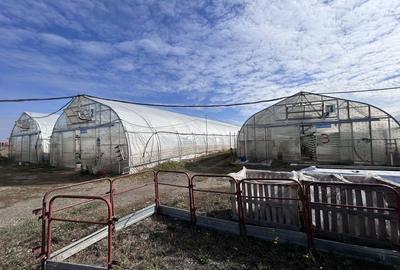 De vanzare-afacere la cheie - 5