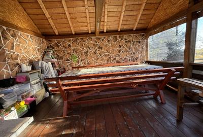 Cabana, 4 camere, 120 mp, teren 410 mp, Marisel - 16