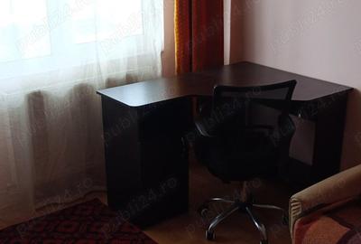 Apartament mobilat Darmanesti - 2