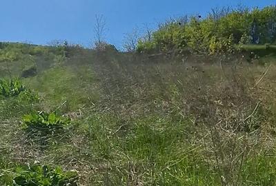Casă cu 3 camere cu Teren 3800 Mp în Ungheni - 12