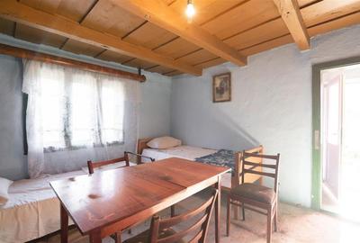 RECO Casa de vacanta la Holod- langa padure- teren 2190mp - 25