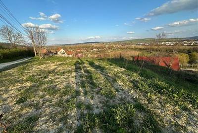 Spațiu comercial, în Cuștelnic - 4