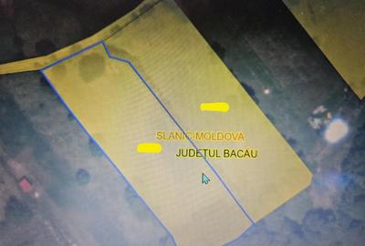 Teren Construcții intravilan de 3200 mp, în Est - 10