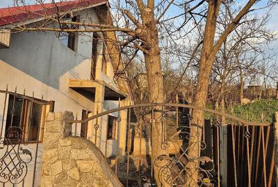 Casă cu 4 camere cu Teren 1019 Mp în Cuca - 10