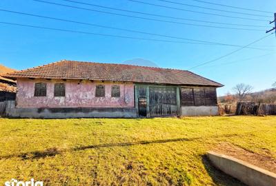 Casă cu 4 camere cu Teren 10486 Mp în Ohaba Lungă - 7