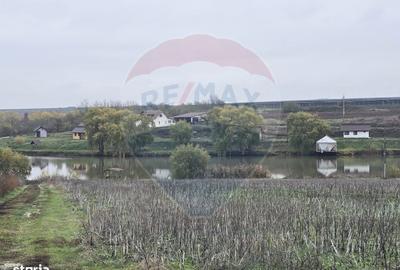 Teren de 129700 mp, în Iepurești - 1
