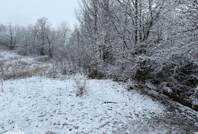 Teren de 3824 mp, în Provița de Jos - 5