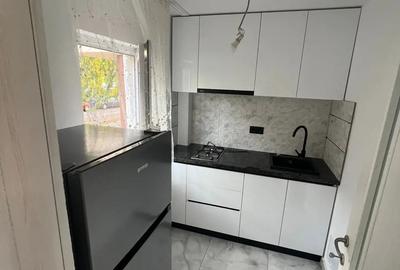 Apartament cu 1 camera-Bucovina - 2