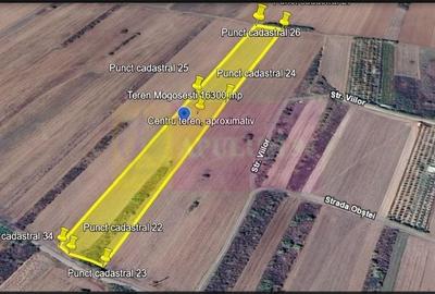 Teren de 16300 mp, în Adunații-Copăceni - 7