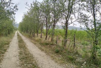 Oportunitate de investitie, teren intravilan, 6018 mp, Unguriu Buzau - 2