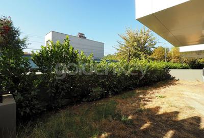 Apartament cu 3 camere decomandat în Floreasca - 1