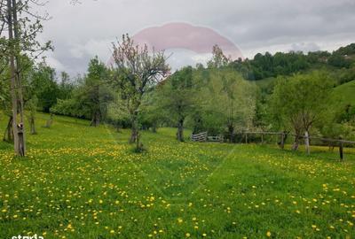 Spațiu comercial, în Bran - 5