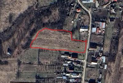 Teren de 4400 mp, în Hârsa - 1