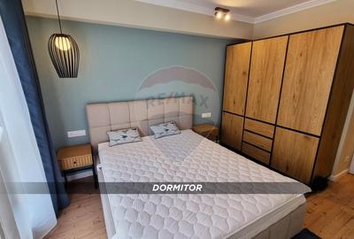 Apartament cu 3 camere semidecomandat, mobilat în Săsar - 13