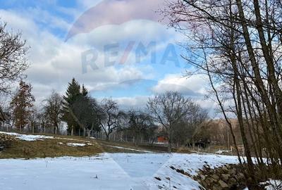 Casă cu 2 camere cu Teren 9035 Mp în Breb - 2