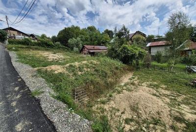 Teren intravilan-935 mp-dubla deschidere, Breaza-Valea Tarsei - 9