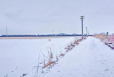 Teren Intravilan - Pretabil Investitie - 3