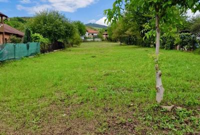 Teren de 1571 mp, în Exterior Vest - 3