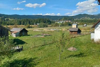 Casă cu Teren 3536 Mp în Coșna - 8