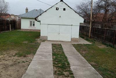 Casă cu 3 camere cu Teren 3075 Mp în Balș - 10