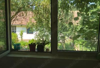 Casa de vanzare (schimb) ,in Cara? Severin , Farliug. - 4