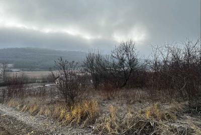 Teren de 596 mp, în Șorogari - 3