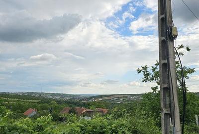 Spațiu comercial, în Săldăbagiu de Munte