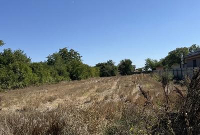 Teren de 970 mp, în Runcu - 4